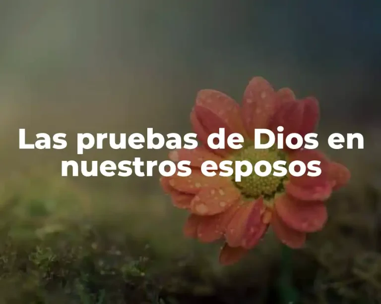 Las pruebas de Dios en nuestros esposos