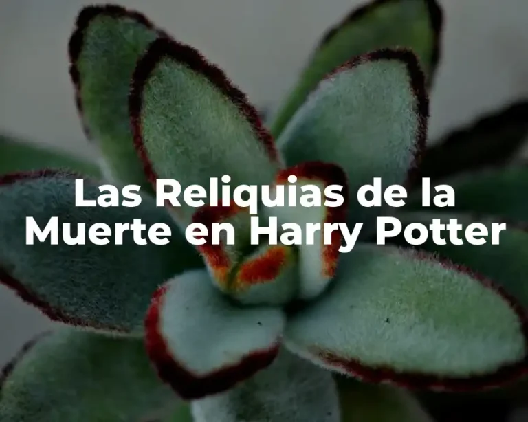 Las Reliquias de la Muerte en Harry Potter