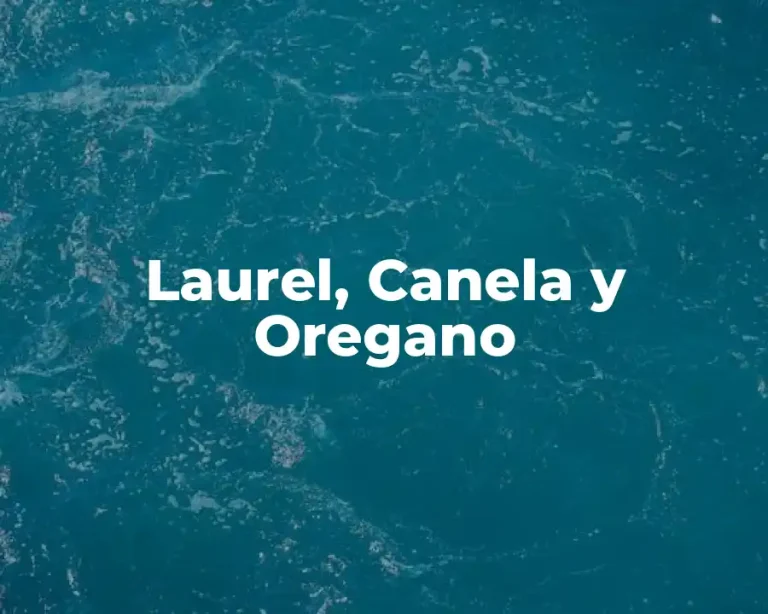 Laurel, Canela y Oregano