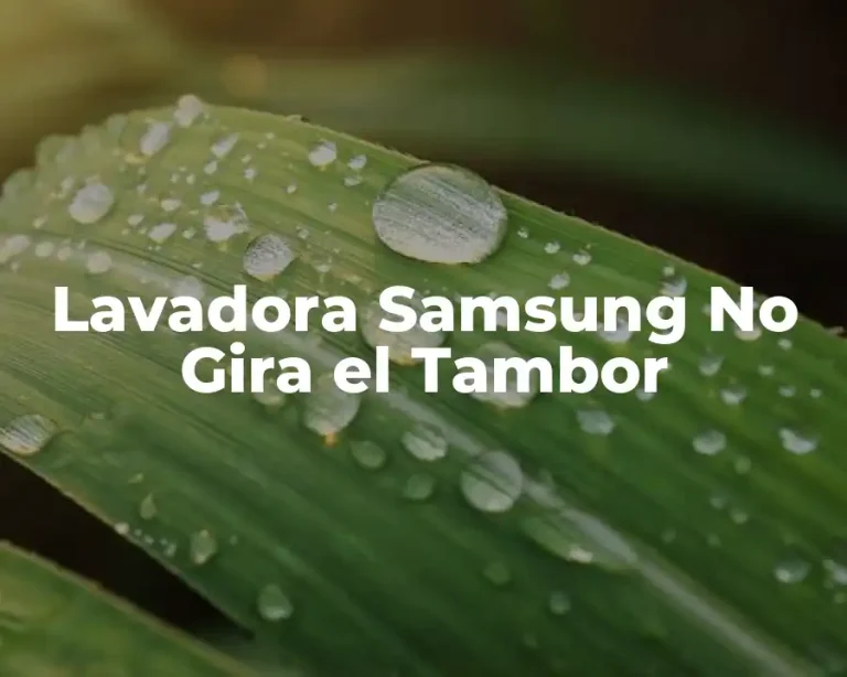 Lavadora Samsung No Gira el Tambor