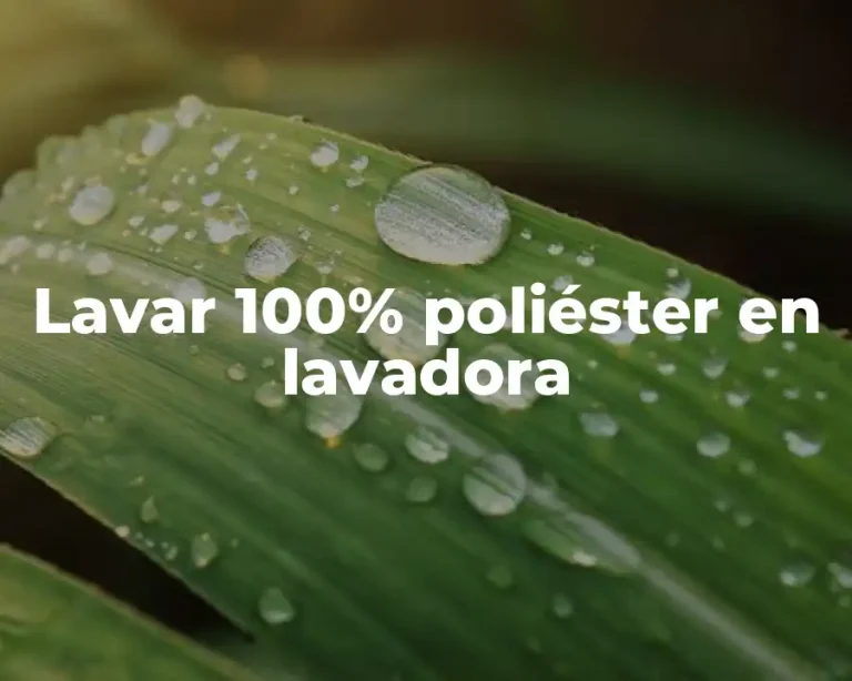 Lavar 100% poliéster en lavadora