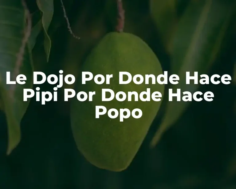 Le Dojo Por Donde Hace Pipi Por Donde Hace Popo