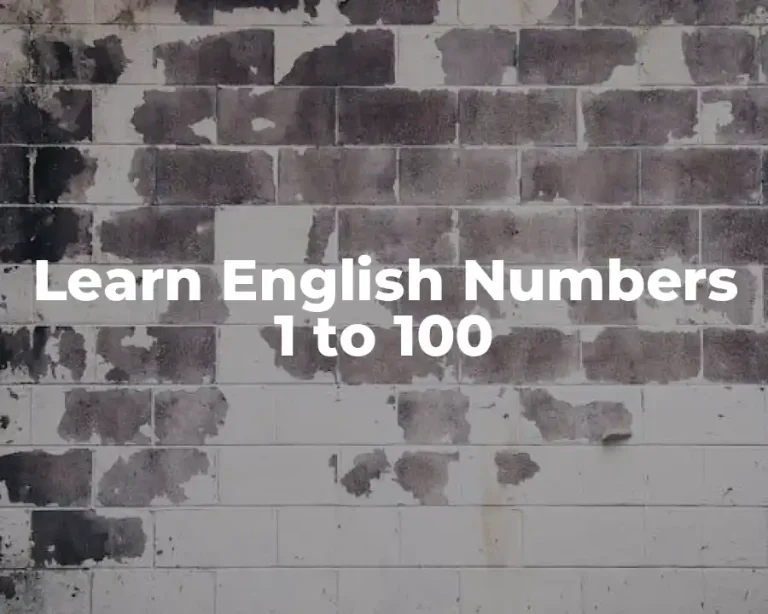 Learn English Numbers 1 to 100