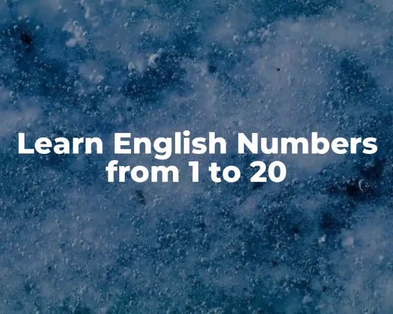 Learn English Numbers from 1 to 20