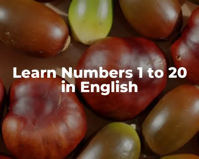 Learn Numbers 1 to 20 in English
