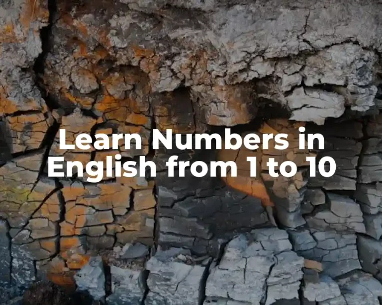 Learn Numbers in English from 1 to 10