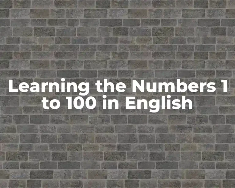 Learning the Numbers 1 to 100 in English