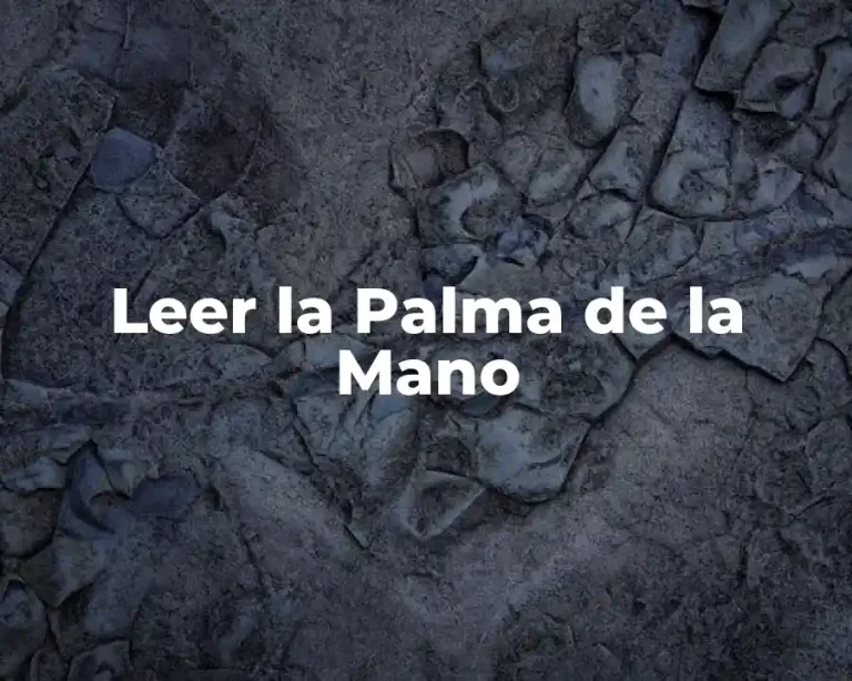 Leer la Palma de la Mano