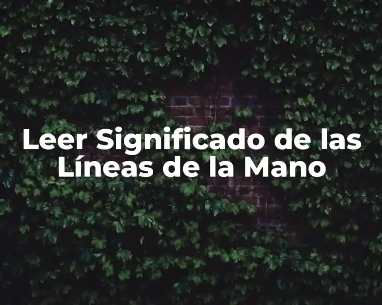 Leer Significado de las Líneas de la Mano