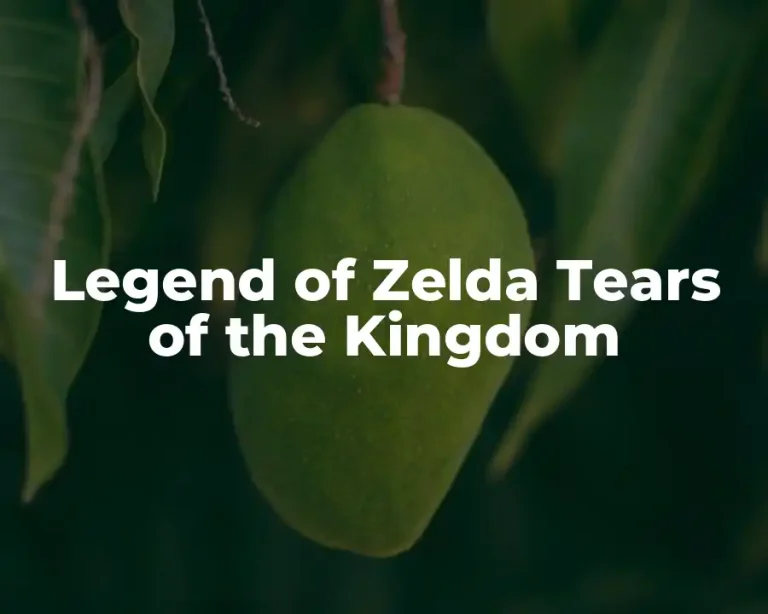 Legend of Zelda Tears of the Kingdom