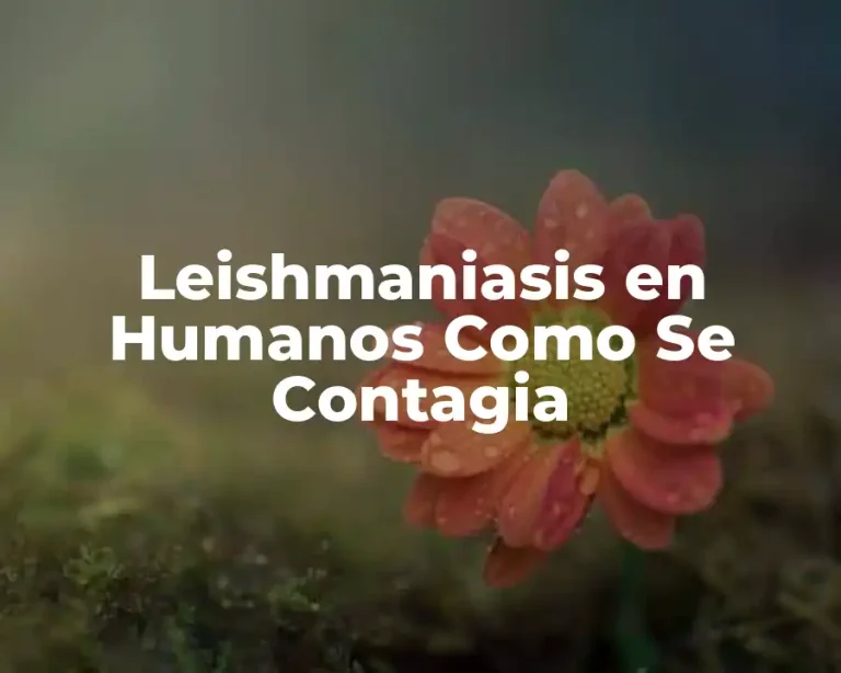 Leishmaniasis en Humanos Como Se Contagia