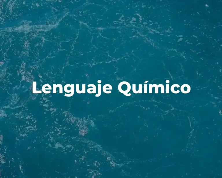 Lenguaje Químico