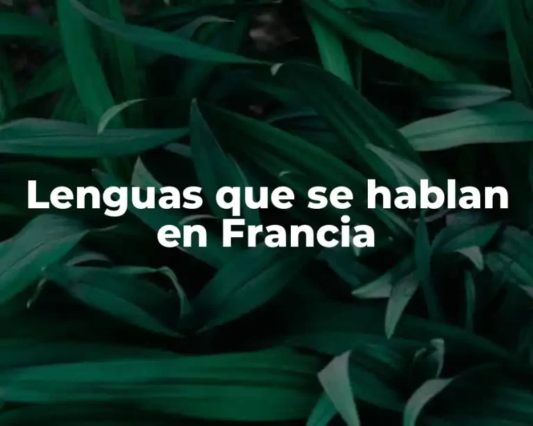 Lenguas que se hablan en Francia