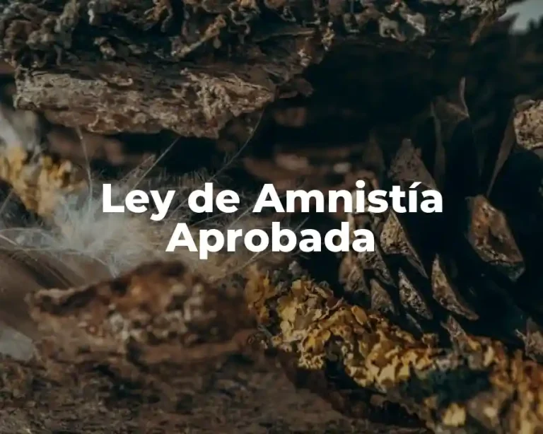Ley de Amnistía Aprobada