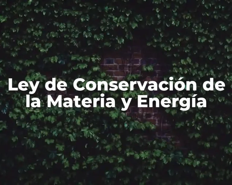 Ley de Conservación de la Materia y Energía
