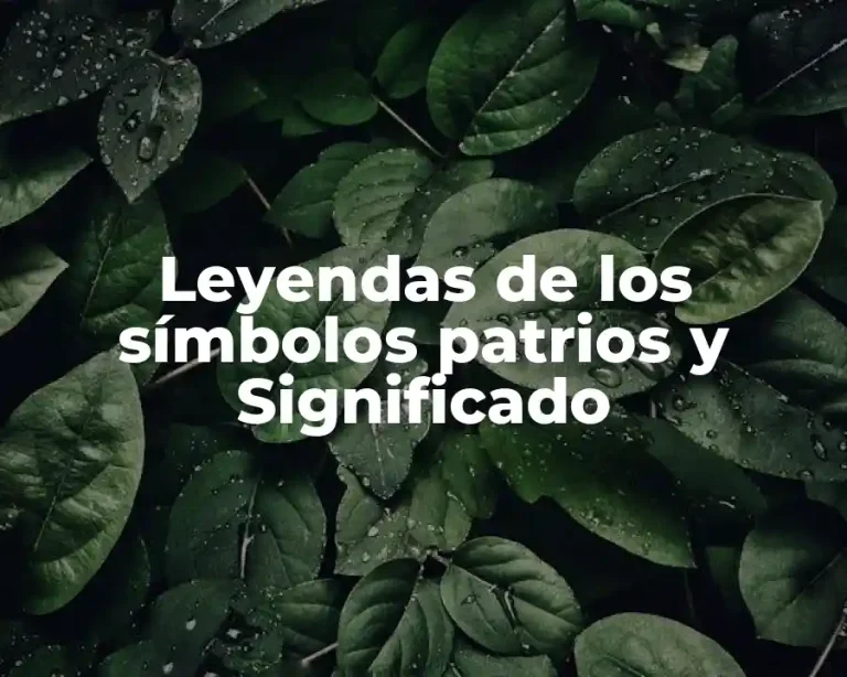 Leyendas de los símbolos patrios y Significado