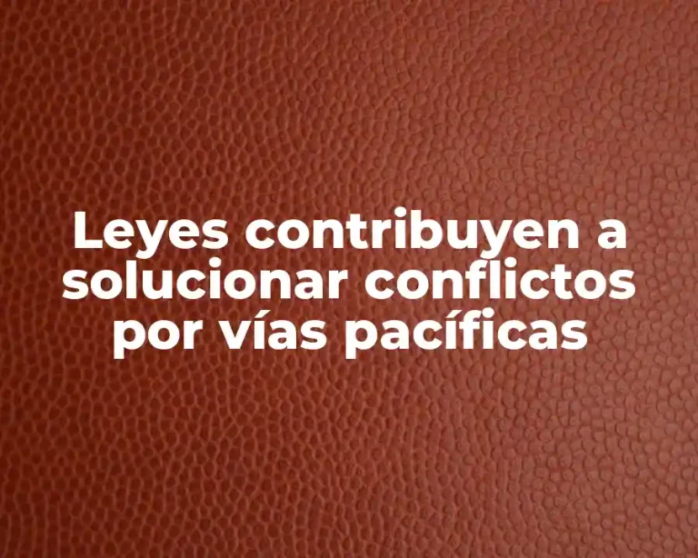 Leyes contribuyen a solucionar conflictos por vías pacíficas