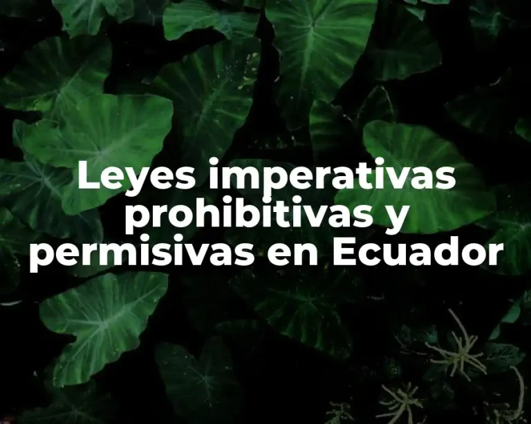 Leyes imperativas prohibitivas y permisivas en Ecuador