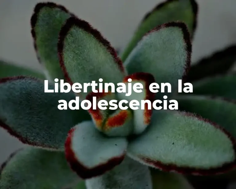 Libertinaje en la adolescencia