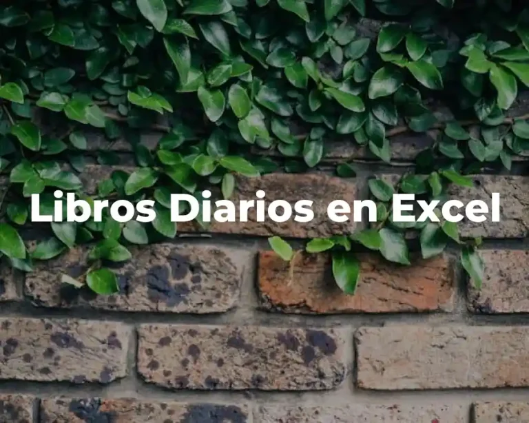 Libros Diarios en Excel
