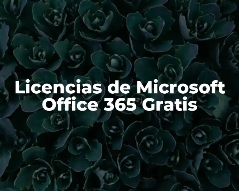 Licencias de Microsoft Office 365 Gratis