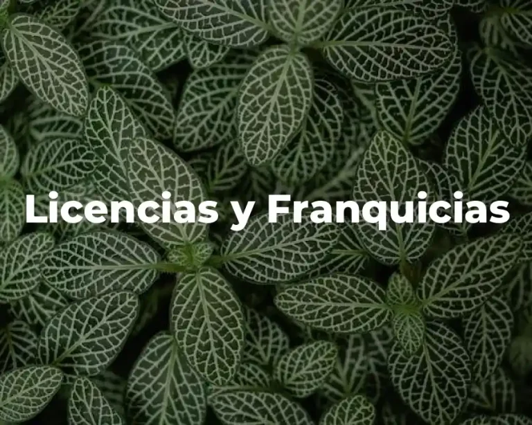 Licencias y Franquicias