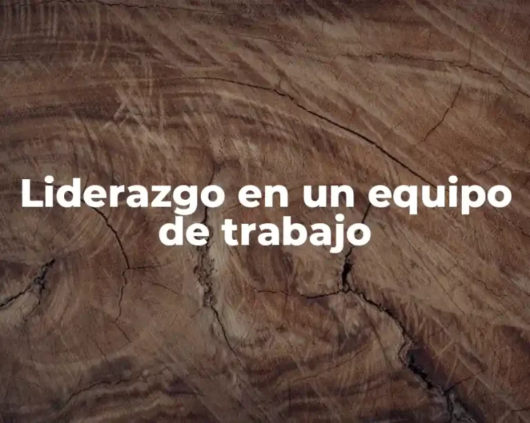Liderazgo en un equipo de trabajo