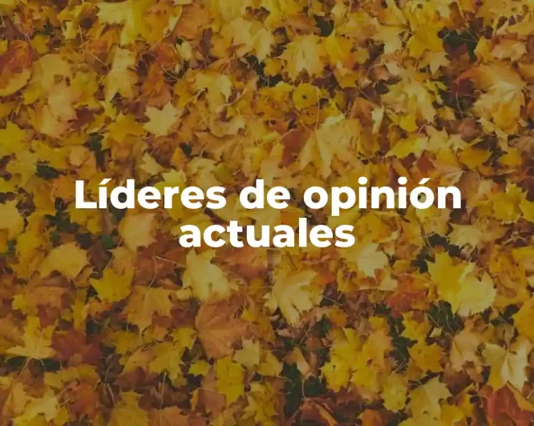 Líderes de opinión actuales