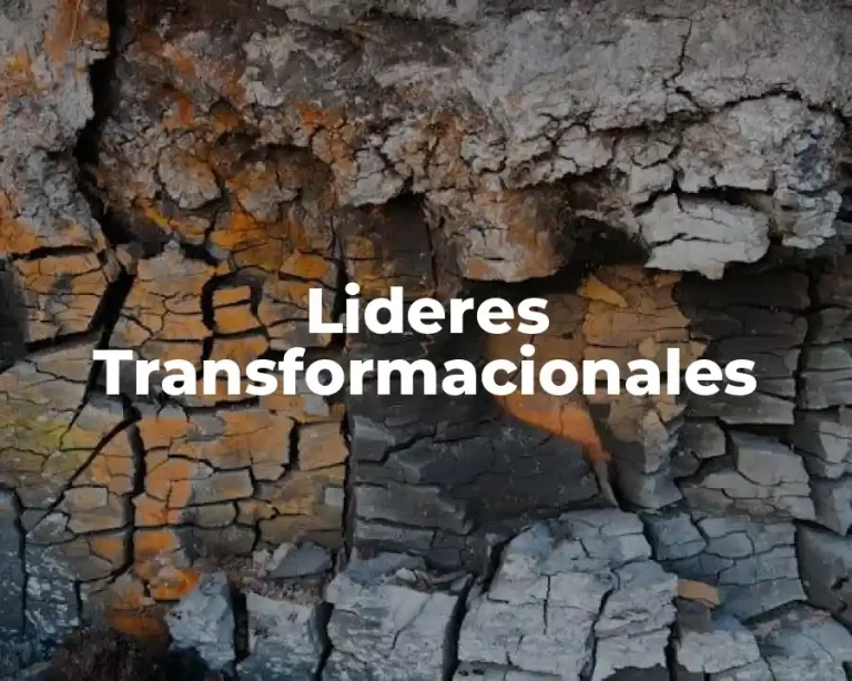 Lideres Transformacionales