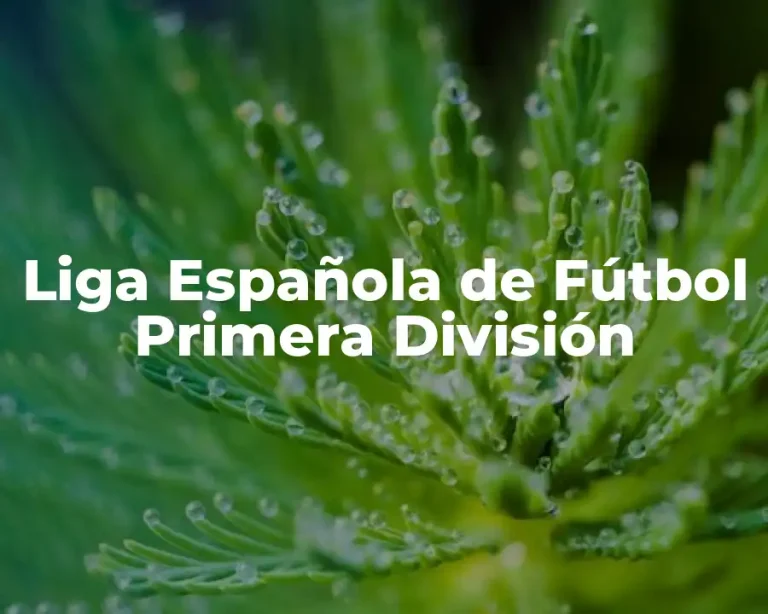 Liga Española de Fútbol Primera División