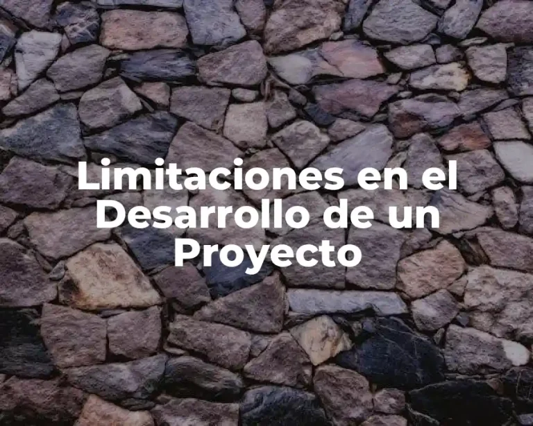Limitaciones en el Desarrollo de un Proyecto