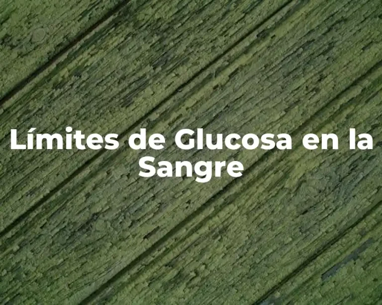 Límites de Glucosa en la Sangre