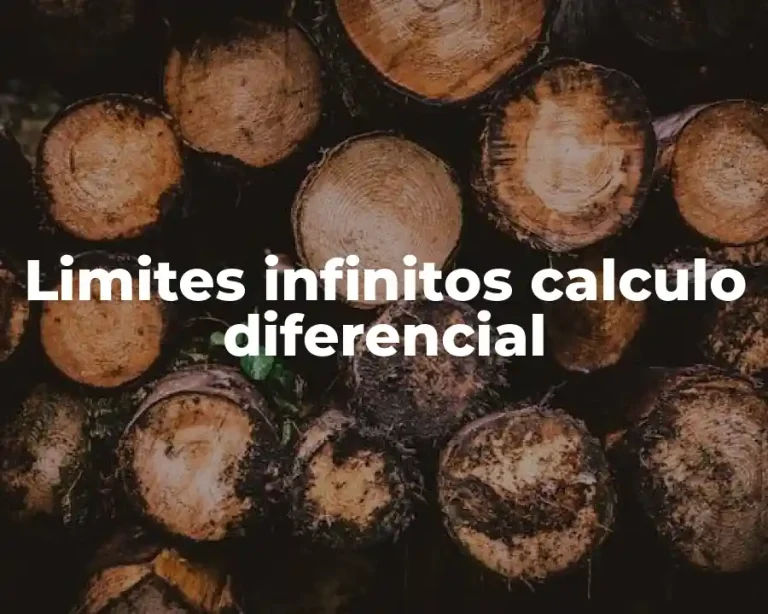 Limites infinitos calculo diferencial