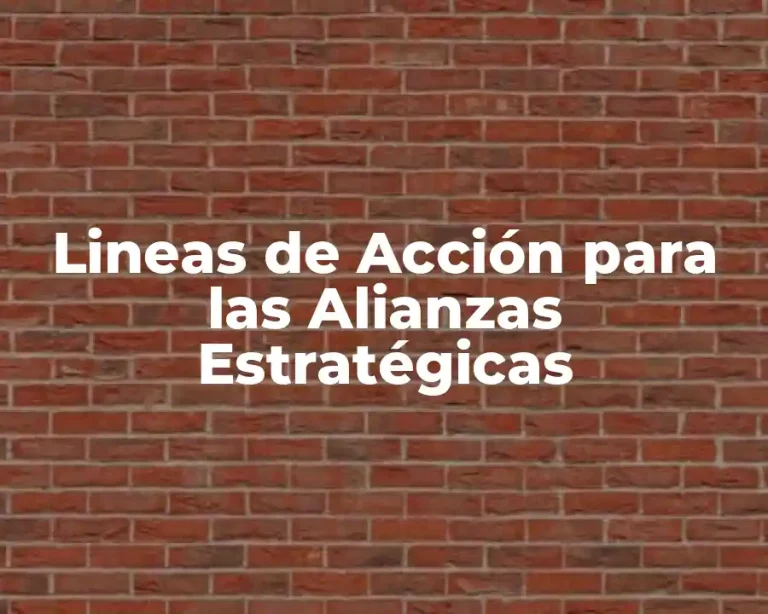 Lineas de Acción para las Alianzas Estratégicas