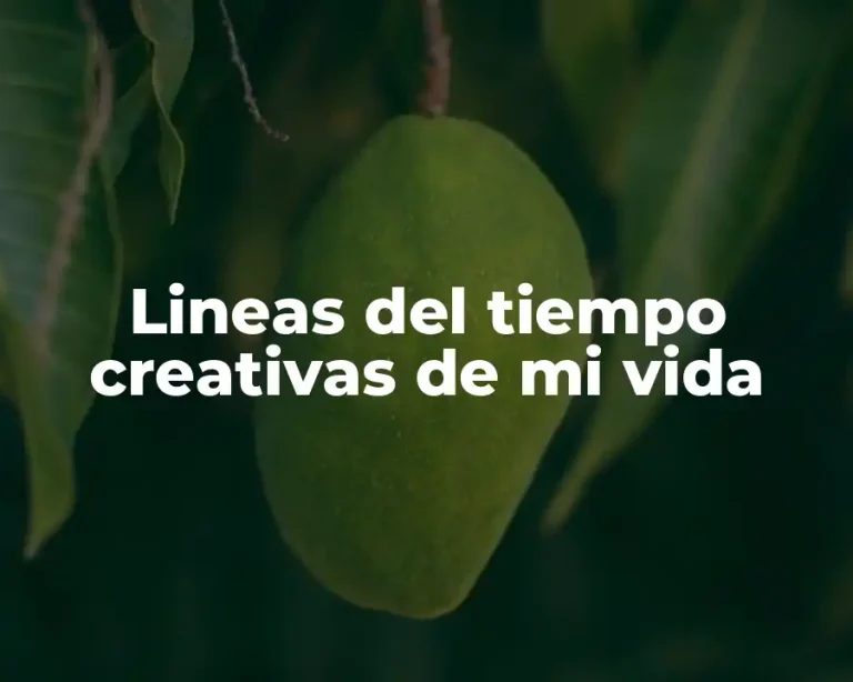 Lineas del tiempo creativas de mi vida