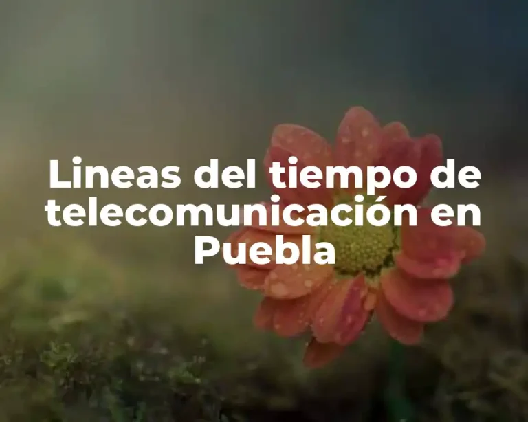 Lineas del tiempo de telecomunicación en Puebla