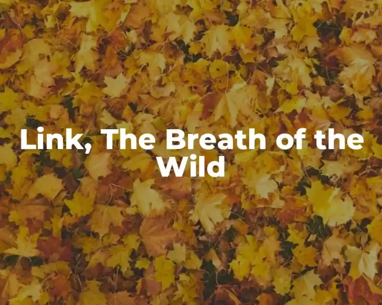 Link, The Breath of the Wild