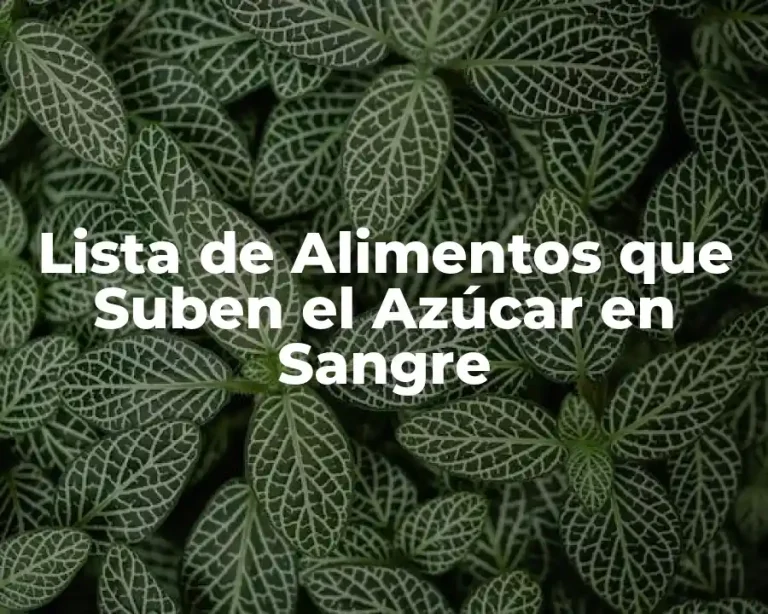 Lista de Alimentos que Suben el Azúcar en Sangre