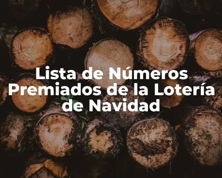 Lista de Números Premiados de la Lotería de Navidad