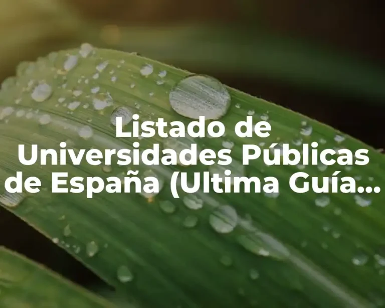 Listado de Universidades Públicas de España (Ultima Guía 2023)