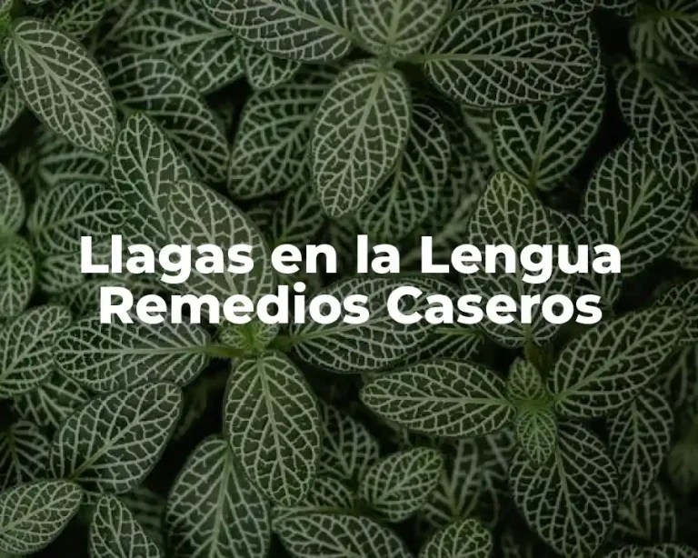 Llagas en la Lengua Remedios Caseros