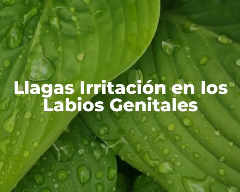 Llagas Irritación en los Labios Genitales