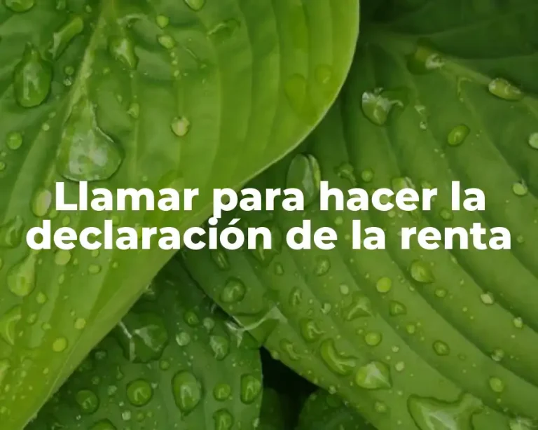 Llamar para hacer la declaración de la renta