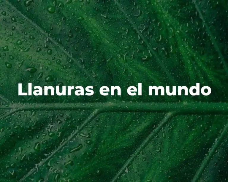 Llanuras en el mundo