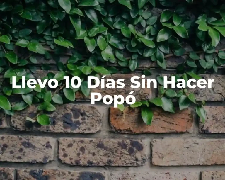 Llevo 10 Días Sin Hacer Popó