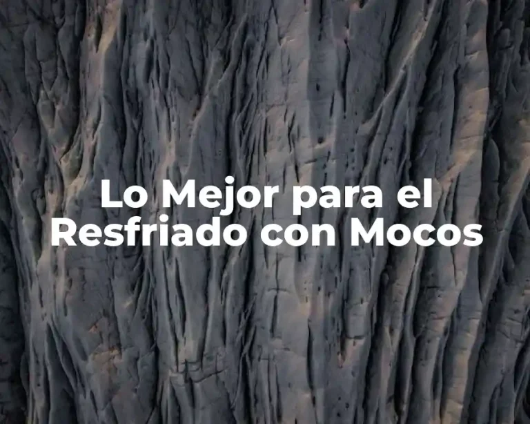 Lo Mejor para el Resfriado con Mocos