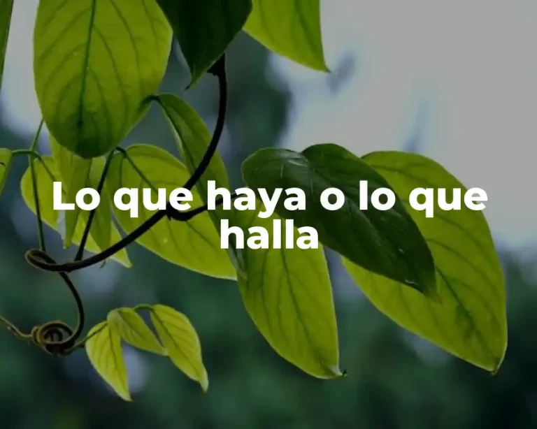 Lo que haya o lo que halla