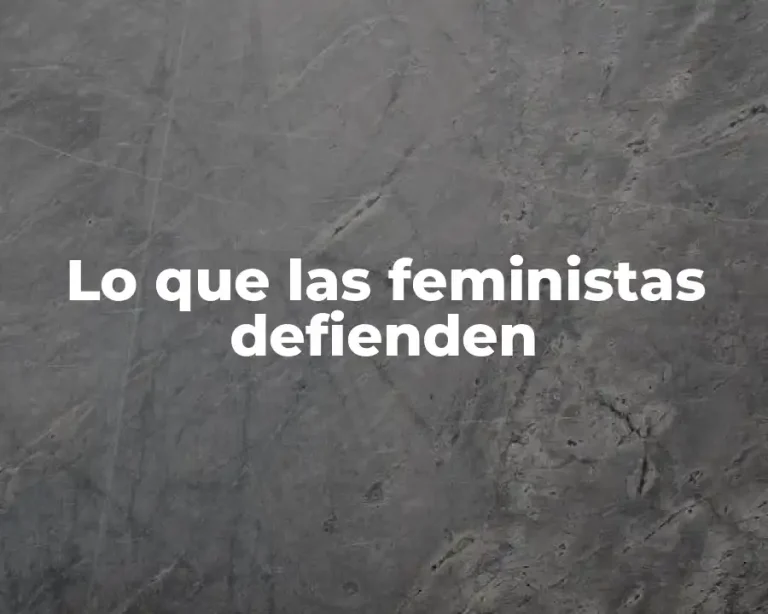 Lo que las feministas defienden