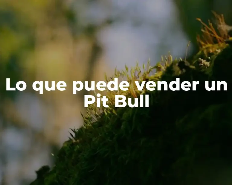 Lo que puede vender un Pit Bull