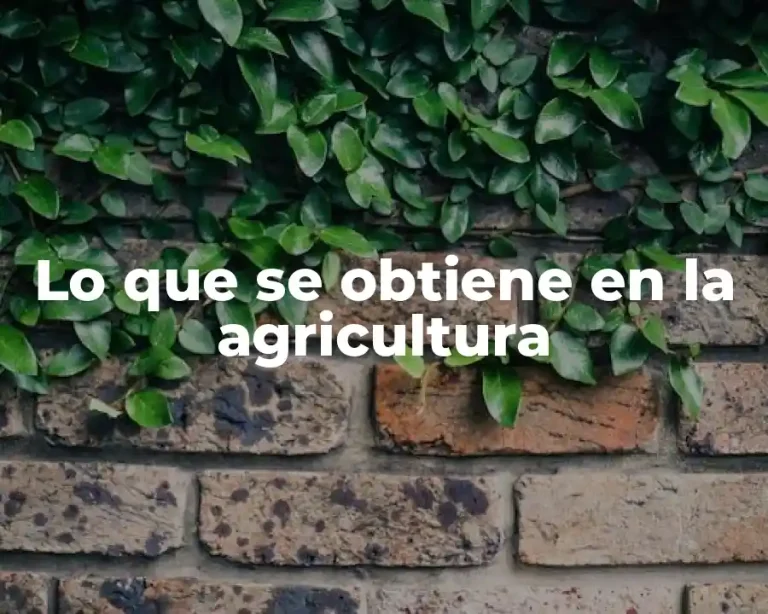 Lo que se obtiene en la agricultura